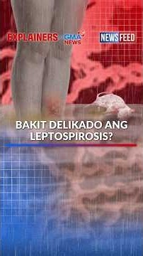 Why is leptospirosis dangerous? | GMA News Feed