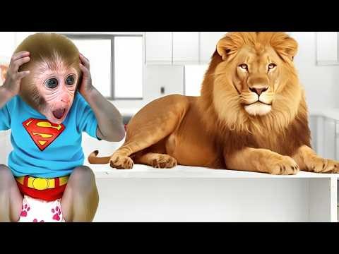 Baby Monkey Bon Bon Runs from a Huge Lion! 😨🐒 | Nursery Rhymes & Kids Songs |Bobby Kids Songs