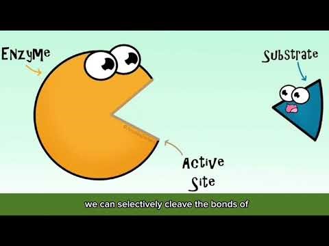 USMCEC2026: TVC_The End of "Dispose": Engineering a Regenerative Economy_Trial n Error