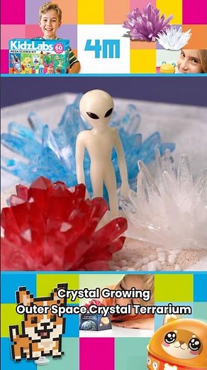 How to Grow Outer Space Crystals in a Terrarium! 🌌✨ | 4M Outer Space Kit Tutorial