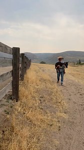 Halter trainer - 0, Baby donkey - 1 #babyminidonkey #minidonkeyfoal #haltertraining #donkeylove #ranchli | Double Donkey Ranch
