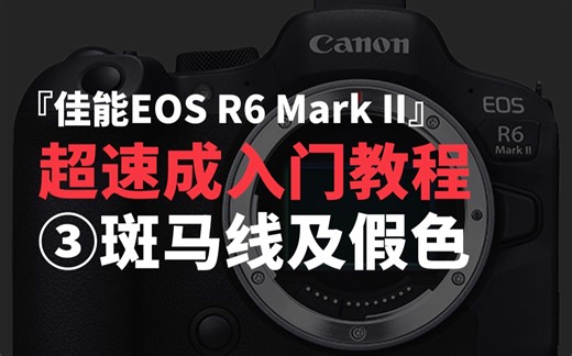 【超速成】完美曝光指南！佳能EOS R6 Mark II教程 第3集