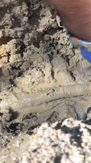 Emergency Water Line Leak - Tree Roots Cracked the Pipe! https://fppplumbing.com/