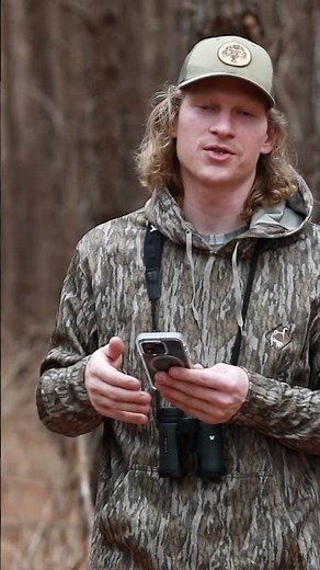 How To Find Turkey Roosts