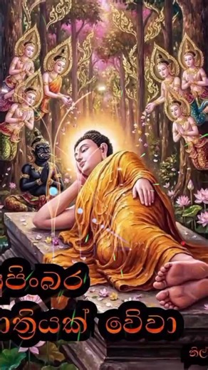 فيديوهات أنشأها sithaaiahganidial (@sithaaiahganidial) باستخدام Maha Mangala Suthraya - මහා මංගල සූත්‍රය - Dharmavinaya