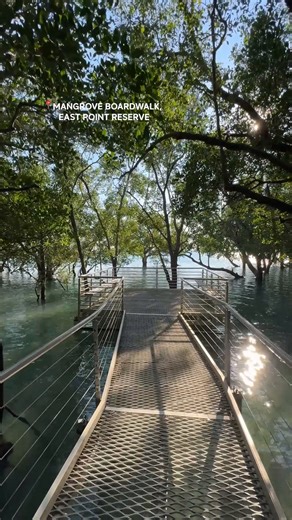Darwin’s best-kept secret? The Mangrove Boardwalk at high tide. 🌊 Most people miss this because they don't check the charts, but we’ve been there and done that. Pro tip: Go during a spring tide (the big ones) to see the root systems completely submerged. It’s nature’s way of showing off, and it keeps the temperature a few degrees cooler under the canopy.