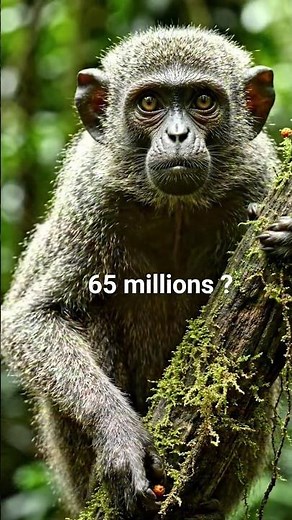 The Shocking Truth About Human Evolution 🧬 | How Humans Evolved Over Millions of Years #facts