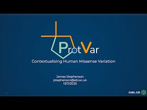 Evaluating variant effects in human proteins with ProtVar