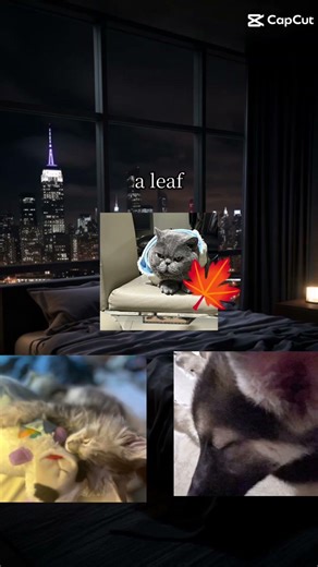 oh I'm late but happy first day of spring