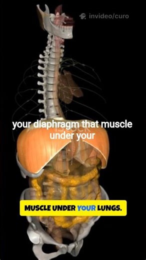 Why Do We Get Hiccups? 😨