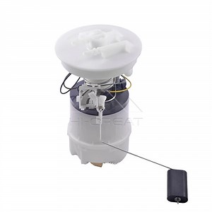 [Hot Item] Fuel Pump Module Assembly Car Auto Part Fuel Pump for Ford Focus Mazda3