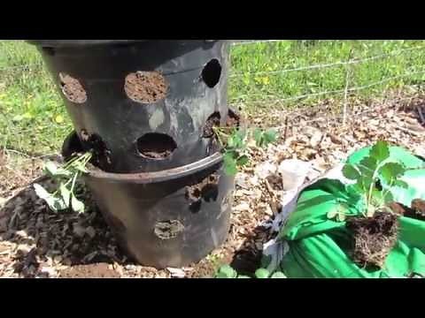 How to Build and Plant a 3 Tier Strawberry Tower from Repurposed Containers - TRG 2015
