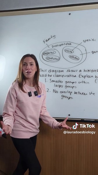 Understanding Hierarchical Classification in Biology