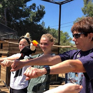 5.7K views · 170 reactions | Why is training important? There are so...