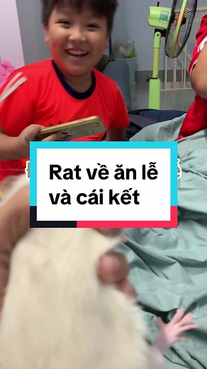 #dumborat #fancyrat #rat #ratatouille #aridumborat #cute #funny #hamster #pet #cuteness #ratsoftiktok #fun #funnyvideos #xuhuongtiktok
