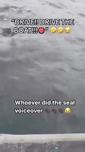 Hilarious! | BrushBuck Wildlife Tours, Inc.