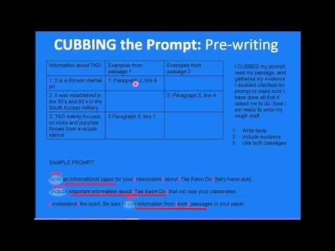 Section 1 - CUB your prompt