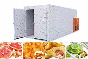 Industrial Heat Pump Fruit Drying Machine