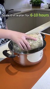 Inbloom Large Organic Golden Oyster Mushroom Growing Kit, Beginner-Friendly Yellow Mushroom Grow Kit, MD USA Non-GMO Mushroom Kit, Harvest Mushrooms in 10 Days at Home