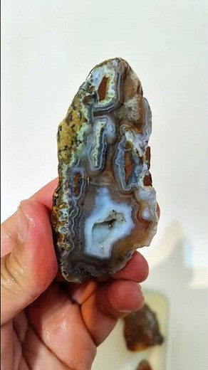 Stunning Agate Slices Collection! Moss & Autumn Patterns #Agate #AgateSlices #MossAgate #AutumnAgate