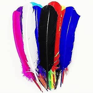 24Pcs Colorful Turkey Feathers 10-12in Long,12 Colors,Bulk Beautiful Colored Natural Feather for Crafts (26-31cm),for Wedding Dress and Party Decoration,DIY Fabricating Handicraft Article (Colorful)