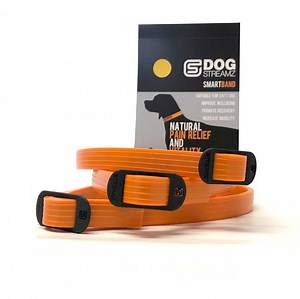 5.5K views · 12 reactions | Orange is the sunrise. ☀ Orange in a flame.  Orange is a carrot. 凌 ‘An Orange’ is named the same.  Orange is a pumpkin. 葉 Orange is in the sun.  Orange is a mobile network.  Now 'Orange StreamZ' is done!  See how our UK invented DOG Streamz smart bands can support your dog. Endorsed by leading trainers and handlers across the world, and we reckon you must know by now, available in ORANGE! | DOG StreamZ | Facebook