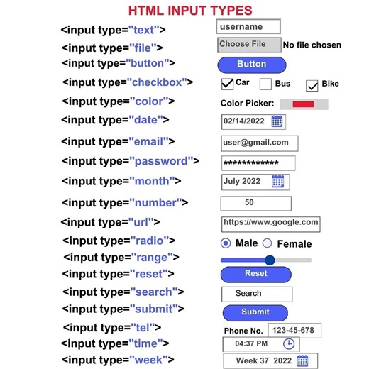 HTML Input Tags List Tutorial For Beginners Web Development #html, #input #lists