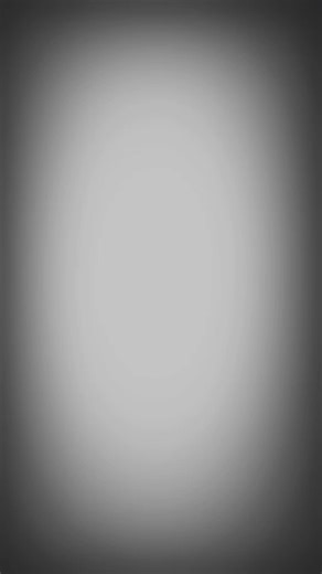 Portland Timbers Defenders in Action