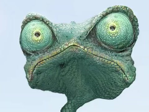Rango YTP