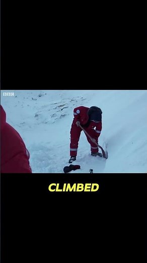 Documentary Crew Saves Trapped Penguins