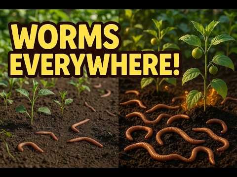Native Worms Gone Wild: The Fermented Fruit Trick That Explodes Populations Fast