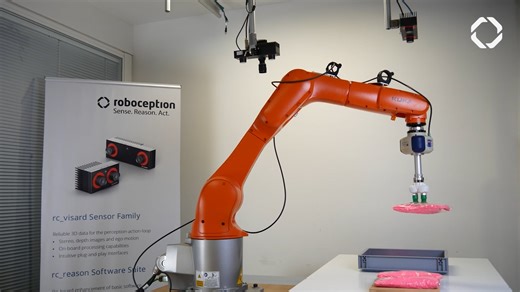 Pick-and-Place Flexible Objects with rc_reason ItemPickAI