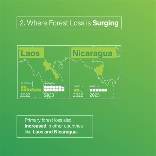 Reflections ahead of #EarthDay2024: 🌍 While strides have been made in halting forest loss, our planet still requires more joint efforts to address #deforestation and safeguard forests. Progress is possible, but it needs to happen everywhere. More insights based on 2023 #TreeCoverLoss data ➡️ https://gfw.global/3vGEBEX | Global Forest Watch