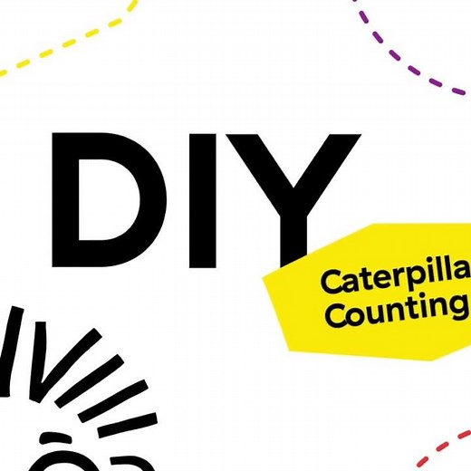 Baby Einstein DIY Counting Cal the Caterpillar