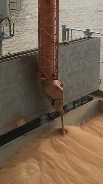 NEUERO Ship Loader | *Grain* | Live Video showing grain ship loading!