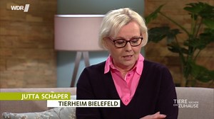 Tiere suchen ein Zuhause - hier anschauen