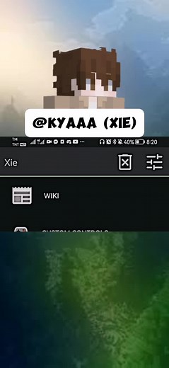 Minecraft Fabric FPS Settings Tutorial