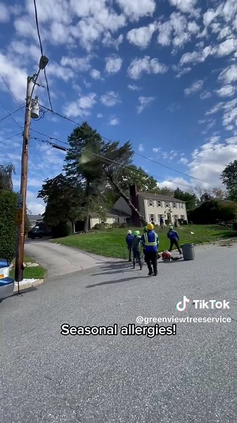 This is the perfect season to get your tree work done! Green View Tree Service handles any tree service — trimming, pruning, or full removals. Our insured, professional crew works safely, efficiently, and gets the job done right the first time. ✅ Tree trimming & pruning ✅ Full tree removals ✅ Any tree service you need Call now for your FREE quote and get your trees taken care of today! #treeremovalnearcranston #treeservicenearjohnston #treeremovalnearwarwick #licarborist #insured