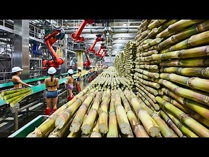 Inside the Cane Sugar Factory: The Complete Step-by-Step (Full Process)