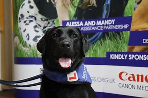 Busy support dog Lizzie is training to be a life-saver for epilepsy client