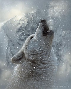 Howling Wolf Painting, Wolves Art Print, Wildlife Artwork, Winter Wall Decor, Animal Canvas - Etsy Canada