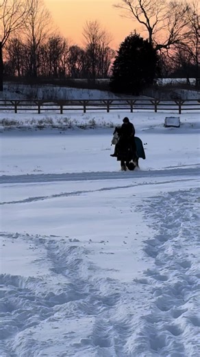 When you don’t want to walk back to the barn in 18” of snow you jump on the 2yr old Nothin like goofin around on a 2 yr old in the snow and during sunset #snow #gypsyvanner #winter #sunset