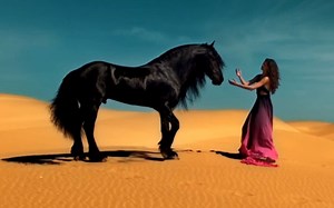 Falling音乐与摄影完美结合.画面太唯美. 震撼到我了➪德國頂級DJ電音Schiller聯手Moya Brennan ♪.Falling