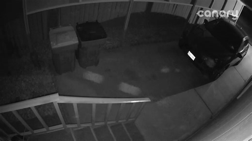 Daytime & Nighttime on Reels