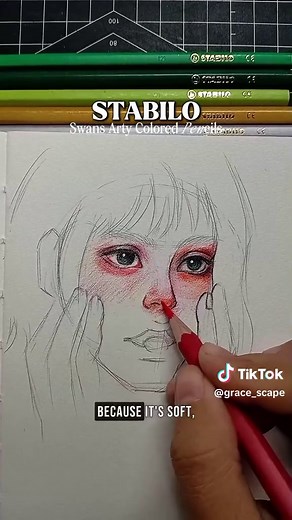 Stabilo Swans Arty Colored Pencils Review and Tips