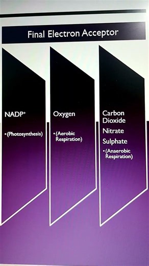 99% Students don't think of it#neet #biology #education