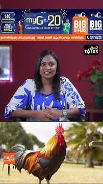 പുരുഷന്മാരെ നേർച്ചക്കോഴികളുമായി ഉപമിക്കാൻ പറ്റുമോ ?