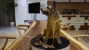 Watch Copper leash Long on Amazon Live