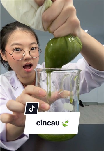 Cara Membuat Cincau Hitam dari Daun Cincau Hijau🍃