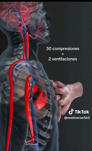 #rcp #reanimation #cpr #monitor #cardiology #cardiologia #reanimacioncardiopulmonar #medicina #medicine #study #fyp #fypシ #viral #parati #paraty #medicinestudent #salud #animation #animacion #studytok